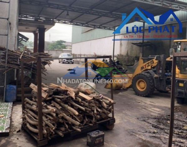 Bán xưởng tại Dầu Tiếng Bình Dương diện tích 11400m2 có dòng tiền 370 triệu/tháng