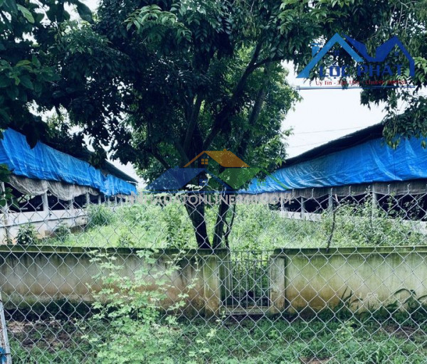 Bán trang trại tại xã Hưng Thịnh Trảng Bom Đồng Nai diện tích 13250m2 giá 18 tỷ Bán trang trại tại xã Hưng Thịnh Trảng Bom Đồng Nai diện tích 13250m2 giá 18 tỷ