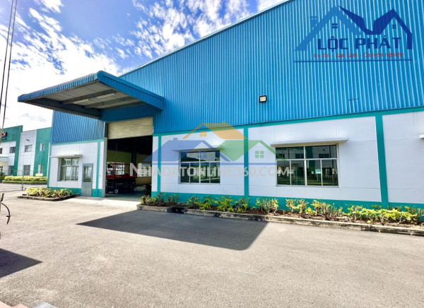 Cho thuê kho, nhà xưởng tại Đường A1, Xã Tam An, Huyện Long Thành, Đồng Nai giá 300 Triệu Cho thuê kho, nhà xưởng tại Đường A1, Xã Tam An, Huyện Long Thành, Đồng Nai giá 300 Triệu