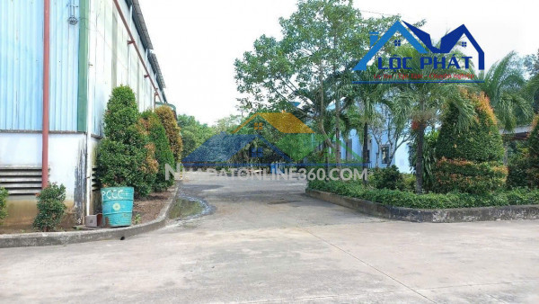 Cho thuê kho xưởng gần KCN Tam Phước Biên Hòa Đồng Nai chỉ 3 đô/m2 Cho thuê kho xưởng gần KCN Tam Phước Biên Hòa Đồng Nai chỉ 3 đô/m2
