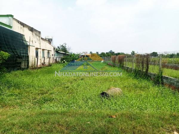 Bán đất thổ cư 784m² (11.5m x 64m), nguyễn thị ngoạn, trung lập thượng, củ chi, hướng tây bắc, 3.6 tỷ