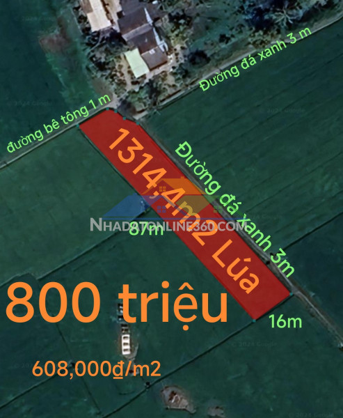 Bán gấp lô đất lúa hai mặt tiền xã đức tân giá 800 triệu