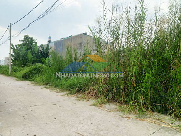 Bán đất 1/ đường 156 - 789m2 - 11.5x64 - 699m2 thổ cư - xã bình mỹ - củ chi