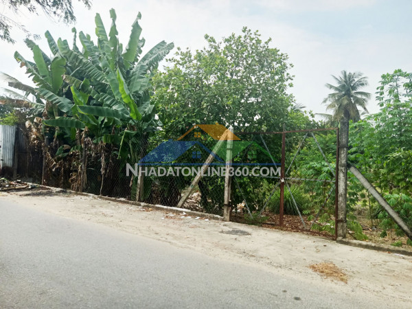 Bán đất 1/ đường huỳnh thị mua - 1011m2 - 20x54 - 300m2 thổ cư - xã phước thạnh - củ chi