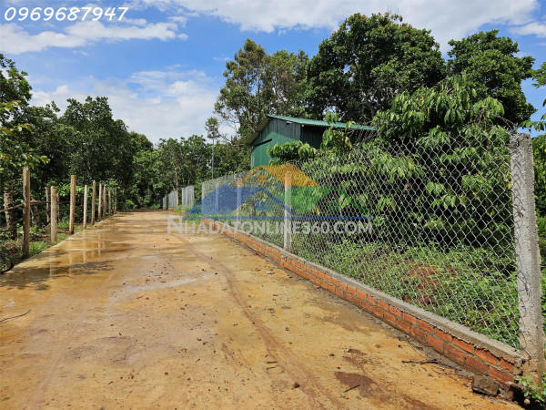 Bán lô đất 1.7ha - gần hồ sinh thái - x.ea kao-tp.buôn ma thuột - 450tr/ sào