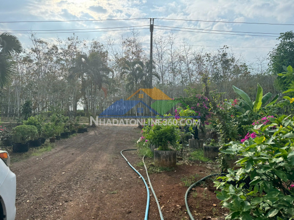 Bán đất xã Cẩm Đường huyện Long Thành Tỉnh Đồng Nai