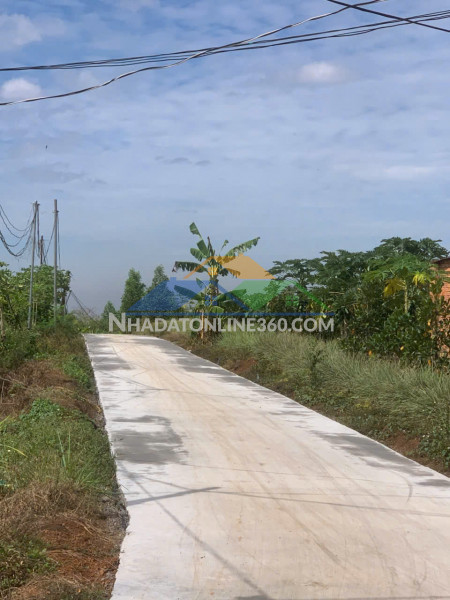Cần bán 1000m2 đất lộc an sân bay long thành