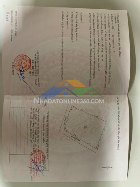 Cần bán 5 lô đất biệt thự_kiên thành thị xã chũ giá rẻ