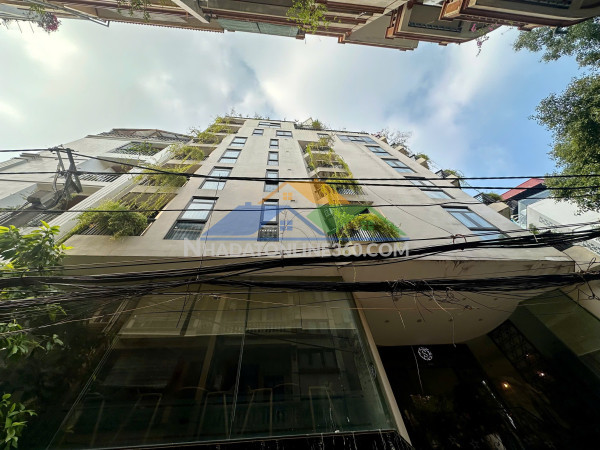 (tin thật 100%) bán ccmn lô góc 50m2 x 11ch tại đông quan - dòng tiền 800 triệu/năm - nhà gần phố
