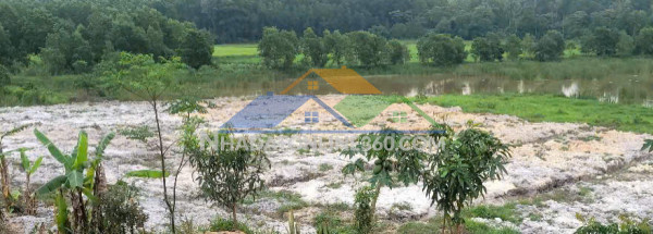 Chính chủ cần bán nhanh lô đất thôn thượng xá, xã hải phú, huyện hải lăng, quảng trị