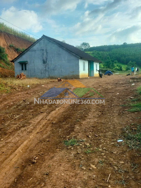 Cho thuê phòng studio tại đội cấn, ba đình, hà nội