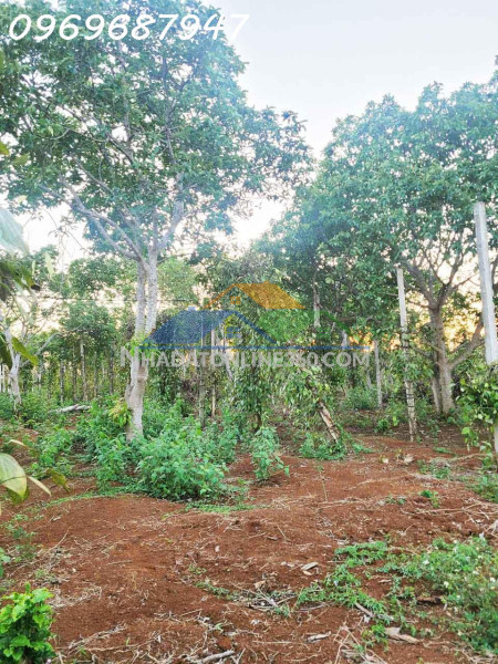 Bán lô đất hẻm cách quóc lộ 14 chỉ 500m, buôn ma thuột, đối diện kcn hoà phú, chỉ 775triệu