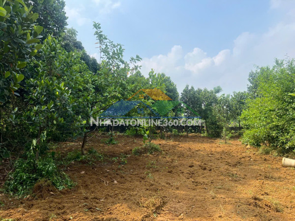 Đất đẹp - giá tốt - cần bán nhanh lô đất vị trí đắc địa tại thủy xuân tiên,huyện chương mỹ