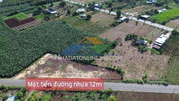 Cần bán nhanh lô đất cực đẹp, giá rẻ hơn thị trường ngay kdl sơn tiên, an hòa, biên hòa