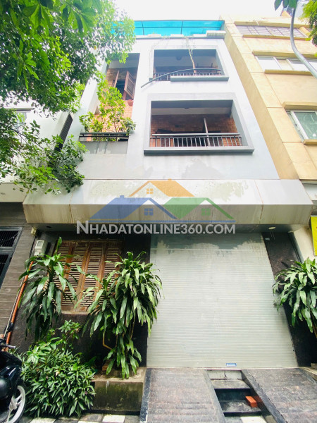 Bán đất tặng nhà đào tấn, diện tích rộng, mặt tiền 6m, chỉ 20 tỷ