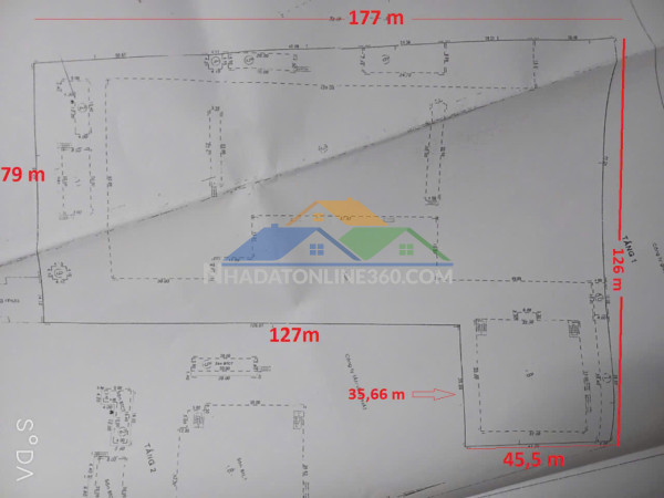 Cơ hội sở hữu kho  gần 1,7 ha tân thới nhất 8, q12, hcm - dòng tiền 1.5 tỷ/th chỉ 389 tỷ