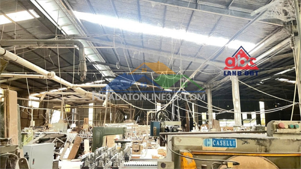 Xt357 cho thuê kho lưu trữ, vận hành logistic, kết cấu kiên cố bàn giao dt linh hoạt