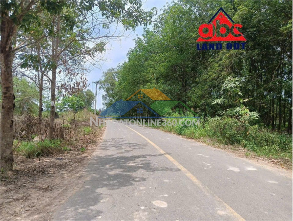 Cho thuê nhà xưởng sản xuất kinh doanh đa dạng ngành nghề, khung thép kiên cố