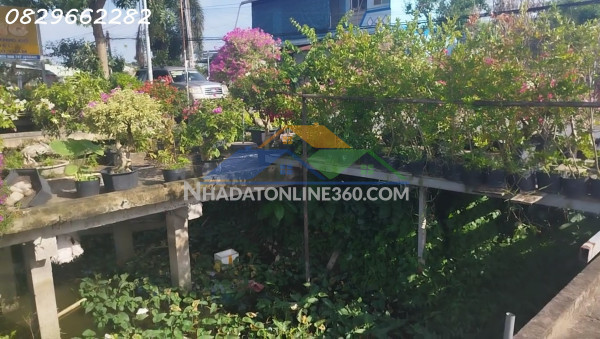 Bán đất thổ cư mặt tiền chính đường làng hoa sa đéc, 200m2, shr, giá 3.5 tỷ