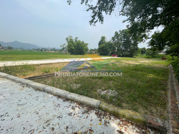 Bán đất   thị trấn ba hàng đồi -  mặt phố kinh doanh tốt chỉ từ 397tr/lô