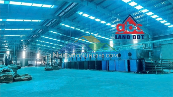 Xt038 cho thuê nhà xưởng sản xuất kho bãi vận hành, khung thép kiên cố