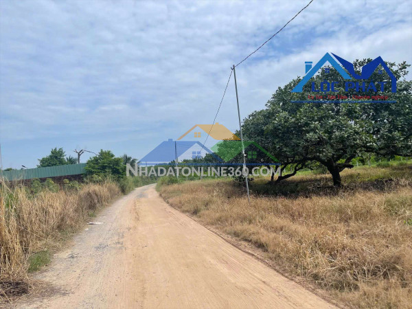 S90-Bán đất SKC 8.550m2  gần KCN Giang Điền  H. Trảng Bom Đồng Nai