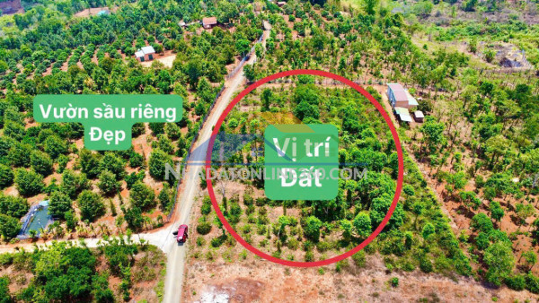 Bán đất 1000m2 sẵn 100m2 thổ cư tại tân hà-lâm hà khu dân cư hiện hữu chỉ 780tr