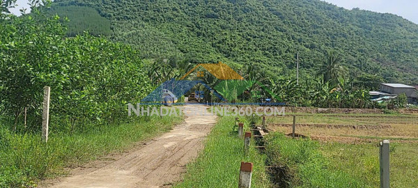 Bán đất thổ cư giá rẻ tại diên tân – diên khánh ????