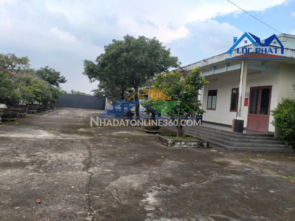 Cho thuê đất , kho bãi 1,5ha tại Phường Long Hưng giá chỉ 70 triệu