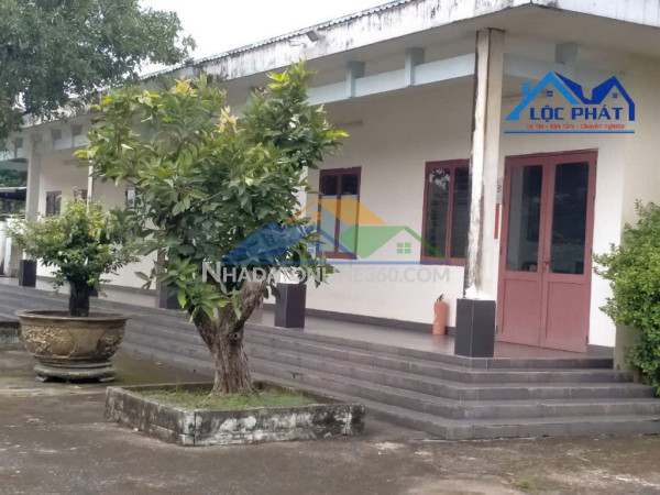 T331_Cho thuê đất , kho bãi 1,5ha tại Phường Long Hưng giá chỉ 70 triệu