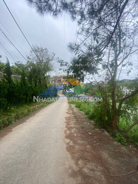 Cần tiền bán gấp đất nền biệt thự đường hùng vương, đà lạt 227m2 giá 8.5 tỷ