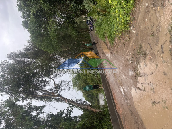 Bán nhà hóc môn, huỳnh thị xe, 9 x57 giá rẻ 11 tỷ