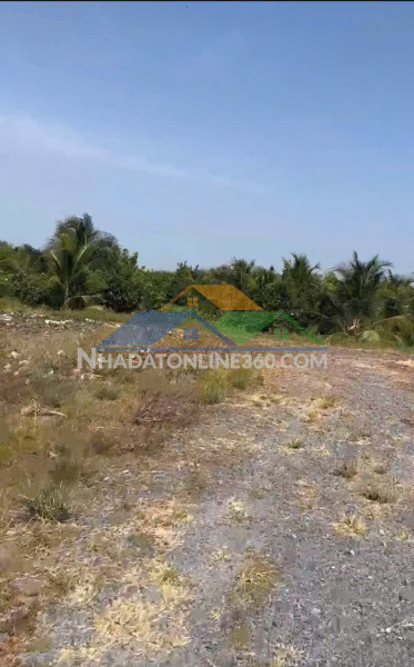 Đất chính chủ - bán 12.000m2 đất lúa - 2 mặt tiền châu thị kim, an vĩnh ngãi, tp tân an