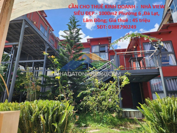 Đất đẹp - giá tốt - cần bán nhanh lô đất vị trí đắc địa tại xã đại thành, huyện quốc oai, hà nội