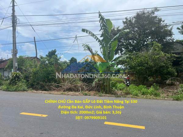 Chính chủ cần bán gấp lô đất tiềm năng tại 530 đường đa kai, đức linh, bình thuận