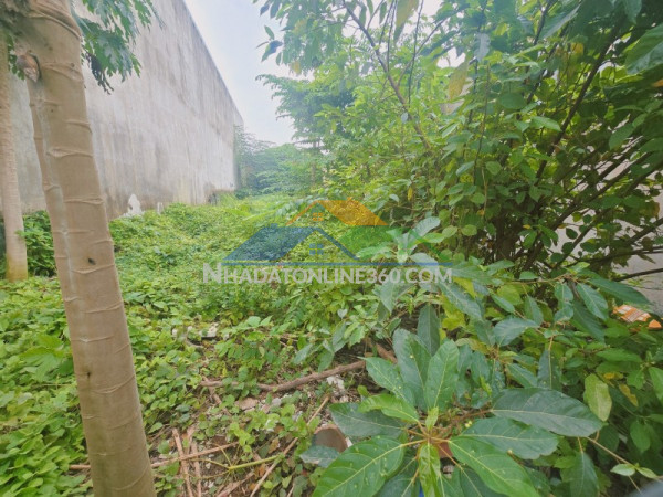 Bán đất 1000m²  p.biên hòa mới,gần chợ hóa an,shr đường xe hơi,giá mềm