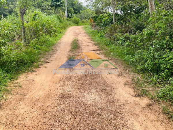 Cư ni- ea kar dt 7200m2 full hồng 2 mặt tiền đường 160m sẵn nhà cấp 4 tiêu cho thu chỉ 1ty xx