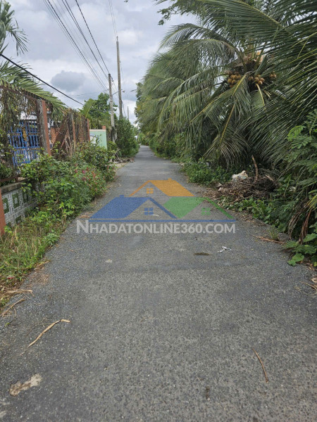 The light city – “khu nhà ở hải đăng” giữa trung tâm đô thị mới bắc vũng tàu