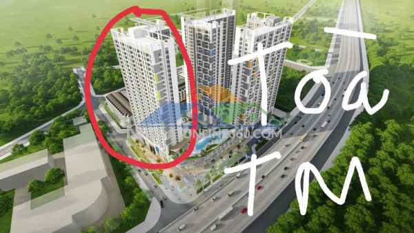 B.án chung cư nhà ở thương mại hacinco nguyễn xiển - 53-63-65-70-103m - 2 ngủ hoặc 3 ngủ - sổ đỏ lâu dài