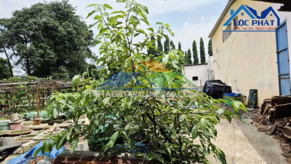 Bán đất 2 mặt tiền đường tại Phường Long Hưng Đồng Nai