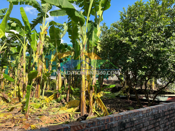 Bán đất 3 thoáng mặt phố, phú viên, bồ đề ,long biên 110m², mặt tiền 7m – giá  21 tỷ