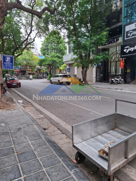 Bán đất mặt phố thi sách 110m giá tụt quần