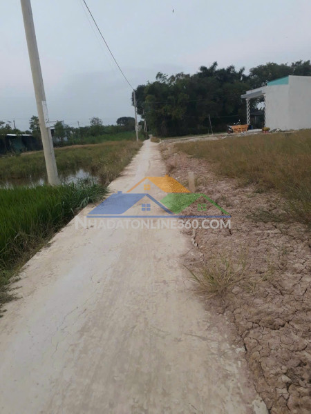 Cho thuê nhà 3 tầng 4pn, 3wc, dtsd 220m2, giá siêu hời 6 triệu, đường nguyễn tấn kỳ, trần phú, quảng ngãi để ở và kinh doanh