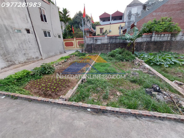 ???? thôn chiền – gần vành đai 4, ô tô đỗ cửa, nở hậu đẹp