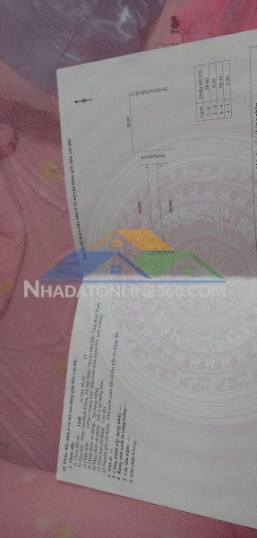 Đất chính chủ - vị trí đẹp thôn trà bình đông, xã mỹ hiệp, phù mỹ - bình định