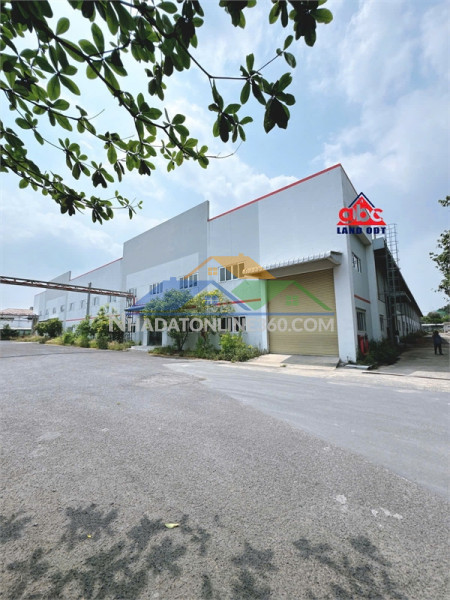 Xt592 nhà xưởng sản xuất thích hợp nhiều ngành nghề, cột biên 8m, thuận lợi sx lâu dài