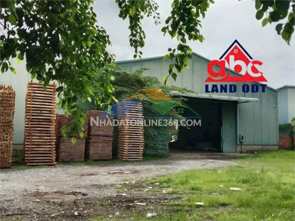 Xt595 cho thuê nhà xưởng ổn định lâu dài, xa kdc thuận lợi sản xuất hàng hóa ngày đêm