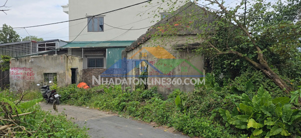 Bán đất đường phú mỹ, phường biên giang, quận hà đông (nay là phường chương mỹ), hà nội.