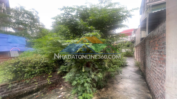 Chính chủ cần bán 30 m2 đông mai- hà đông ( phường yên nghĩa mới), giá chỉ 2 tỷ, lh 0985865658