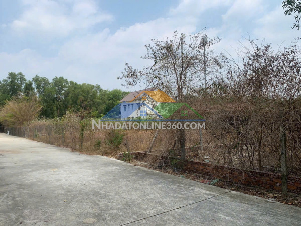 Bán đất chính chủ – phường bình dương, tp.hcm